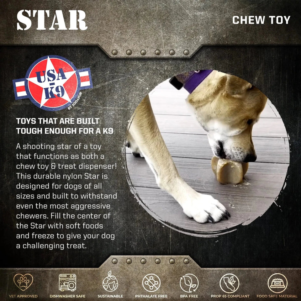 Durable Nylon Star Dog Chew Toy and Enrichment Toy for Aggressive Chewers - Pets Perfect