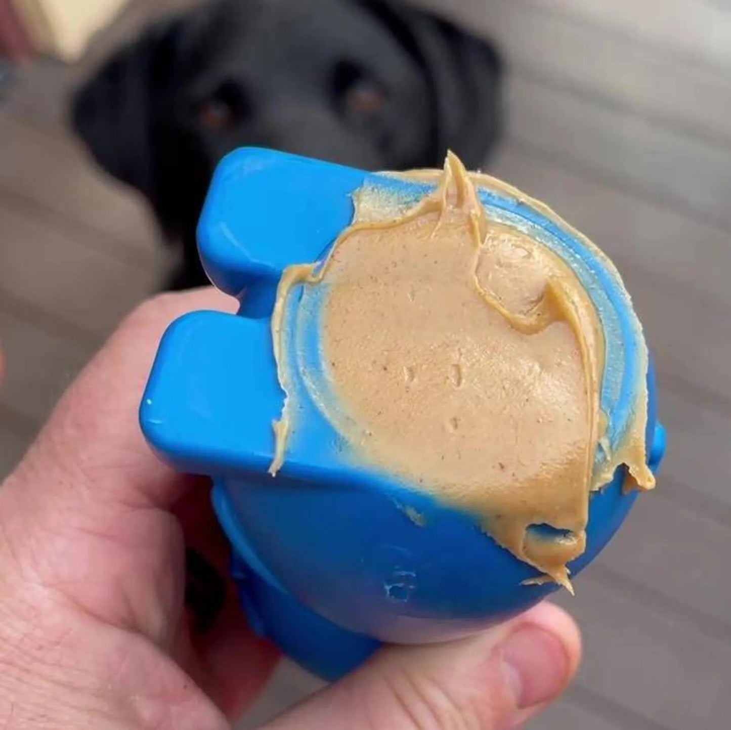 Durable Nylon Bunny Chew Toy and Enrichment Toy for Aggressive Chewers - Pets Perfect