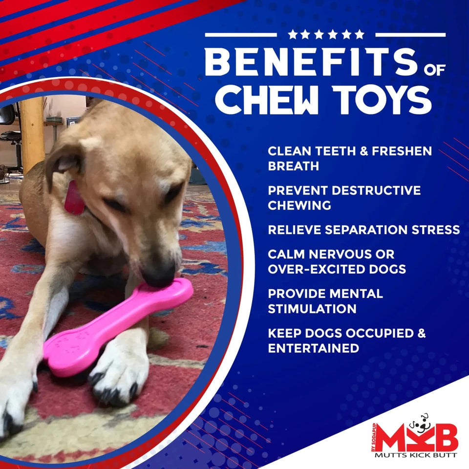 MKB Bone Ultra Durable Nylon Dog Chew Toy for Aggressive Chewers - Pets Perfect