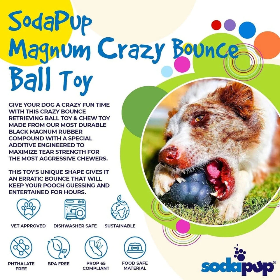 Magnum Crazy Bounce Ultra Durable Rubber Chew & Retrieving Dog Toy - Pets Perfect