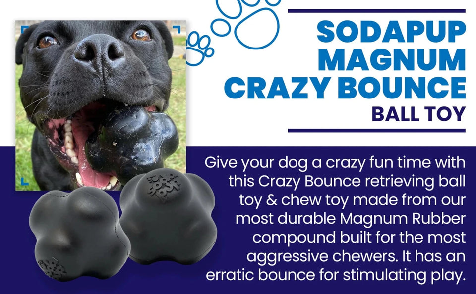 Magnum Crazy Bounce Ultra Durable Rubber Chew & Retrieving Dog Toy - Pets Perfect