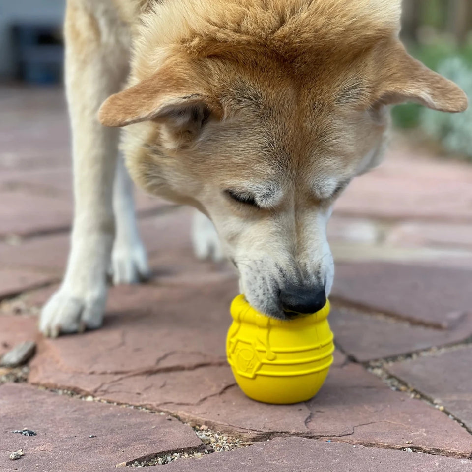 Large Honey Pot Durable Rubber Treat Dispenser & Enrichment Dog Toy - Pets Perfect