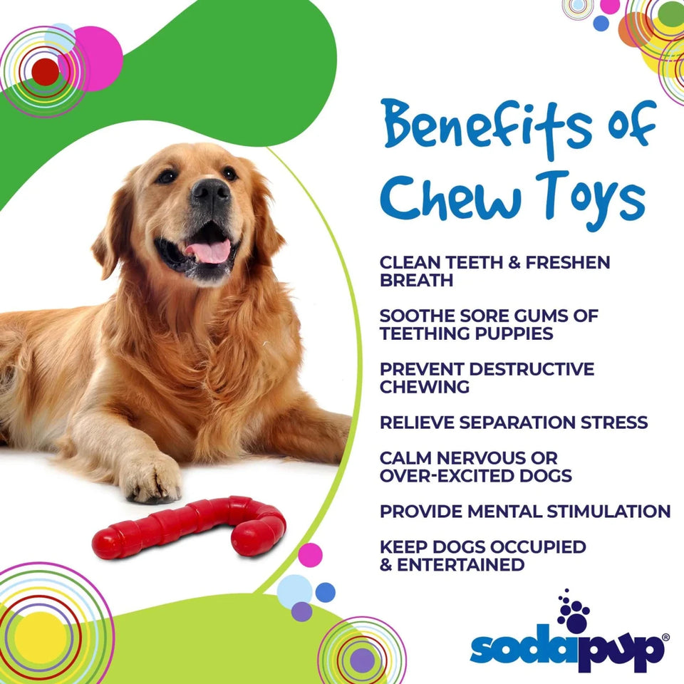 SP Candy Cane Chew Dog Toy - Pets Perfect