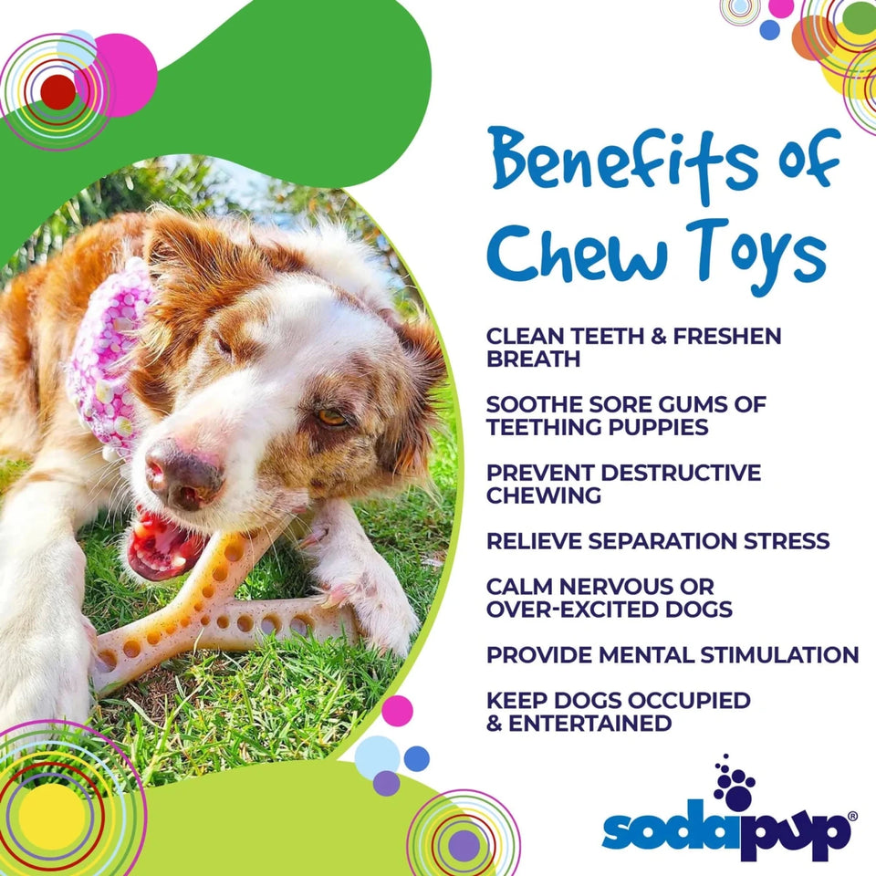 SP MOD Wishbone Ultra Durable Nylon Dog Chew Toy for Aggressive Chewers - Pets Perfect