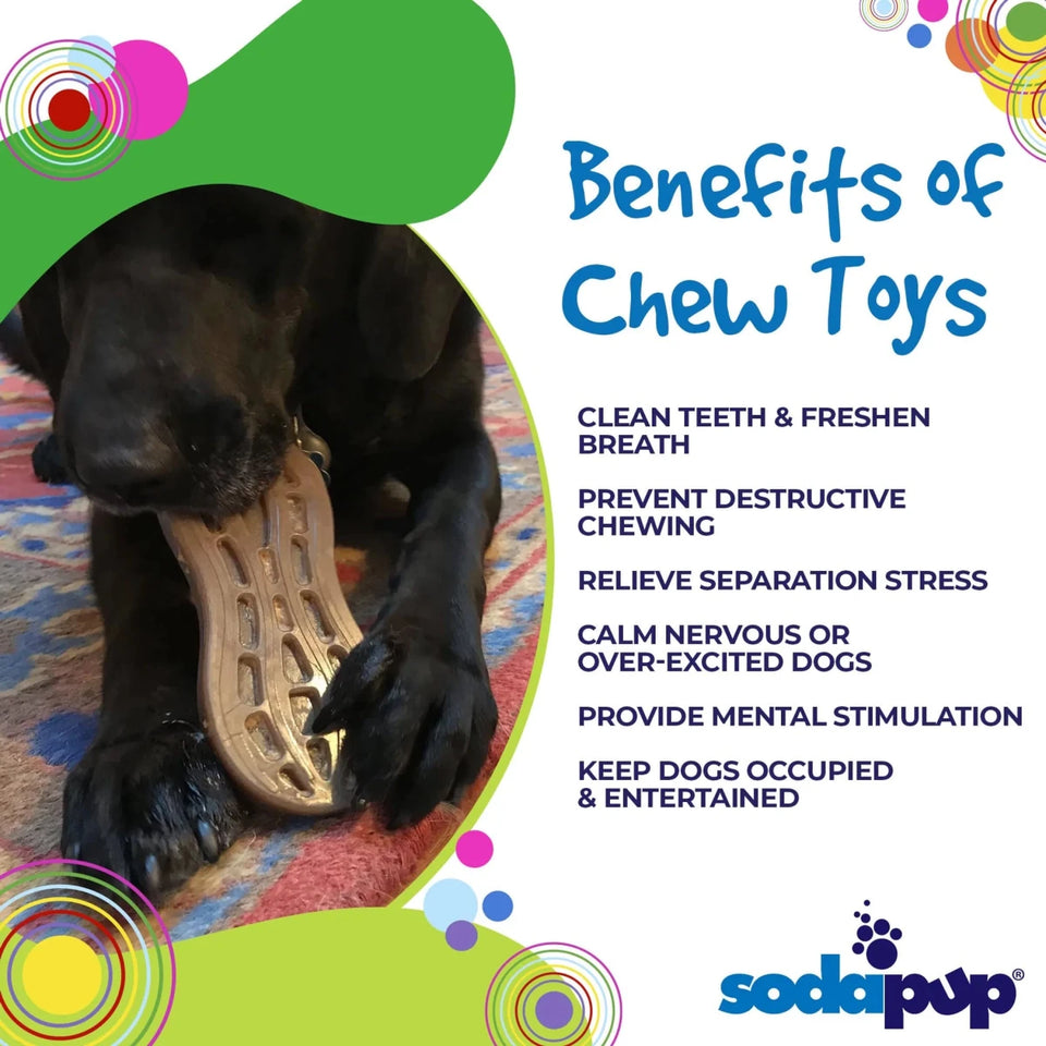 SP Peanut Ultra Durable Nylon Dog Chew Toy for Aggressive Chewers - Pets Perfect