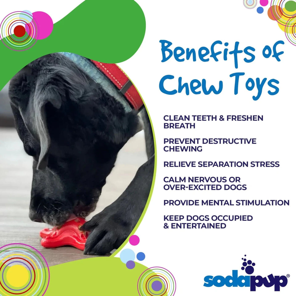 Starfish Ultra Durable Nylon Dog Chew Toy for Aggressive Chewers, view 8