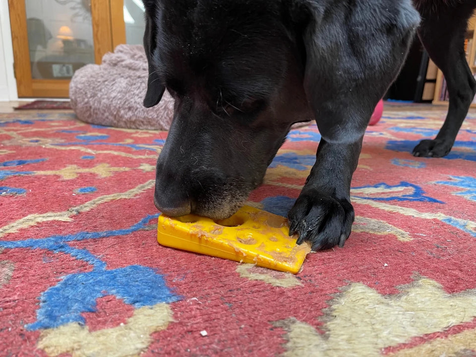 SP Swiss Cheese Wedge Durable Nylon Dog Chew Toy for Aggressive Chewers - Pets Perfect