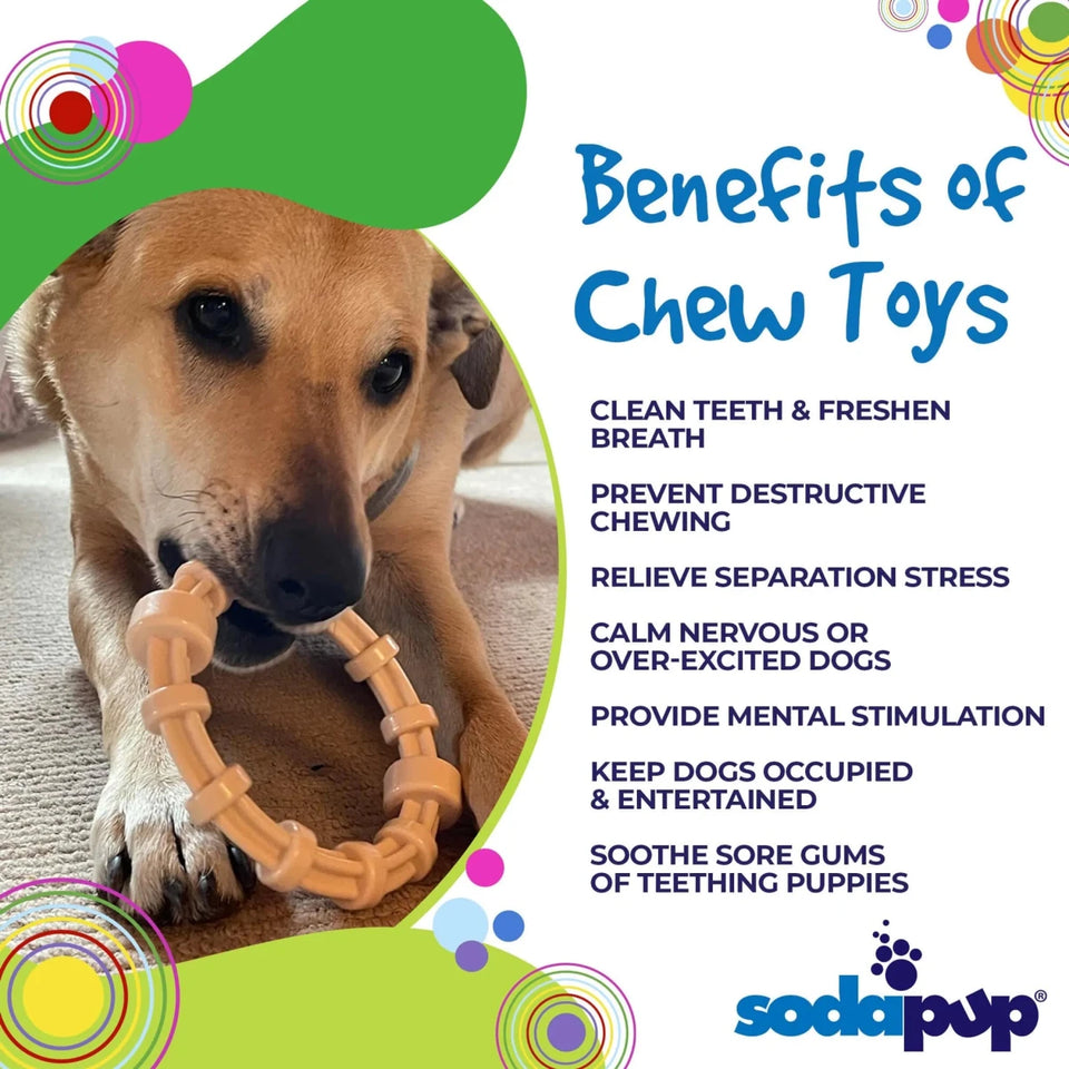 SP Honey Bone Chicken Flavored Teething Ring for Aggressive Chewers - Pets Perfect