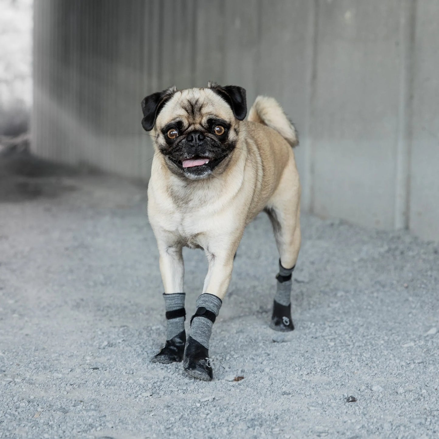 GF Pet Dog Booties Grey