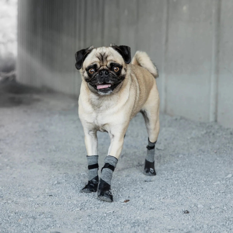 GF Pet Dog Booties Grey, view 13