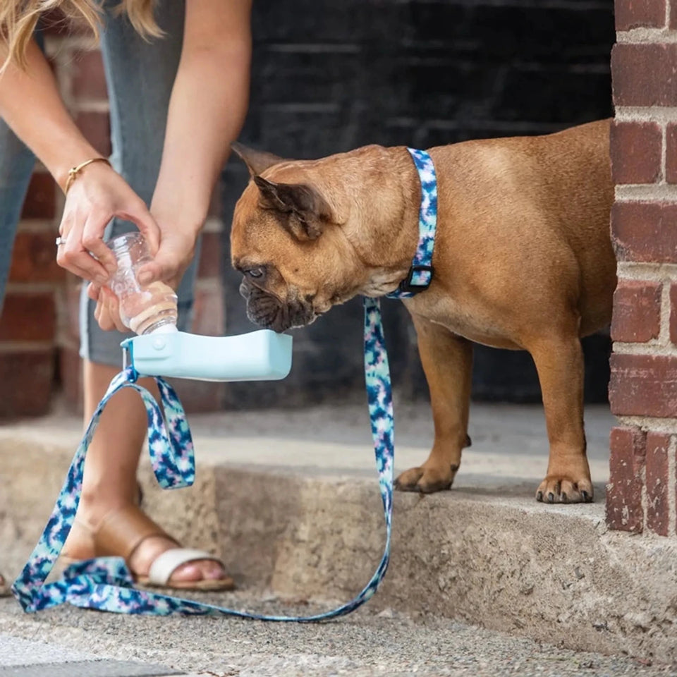 GF Pet Water Bottle with Foldout Bowl, view 6
