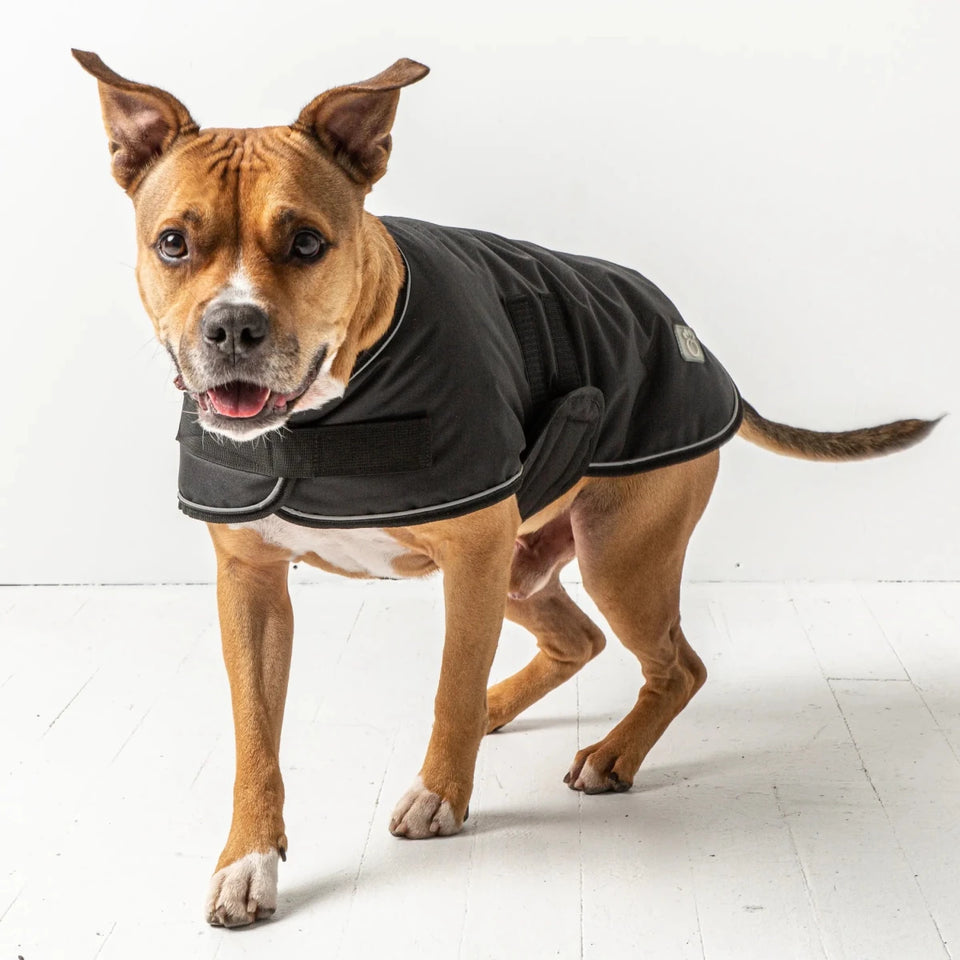 GF Pet Waterproof Dog Blanket Jacket - Polar Fleece Lined Coat, view 19