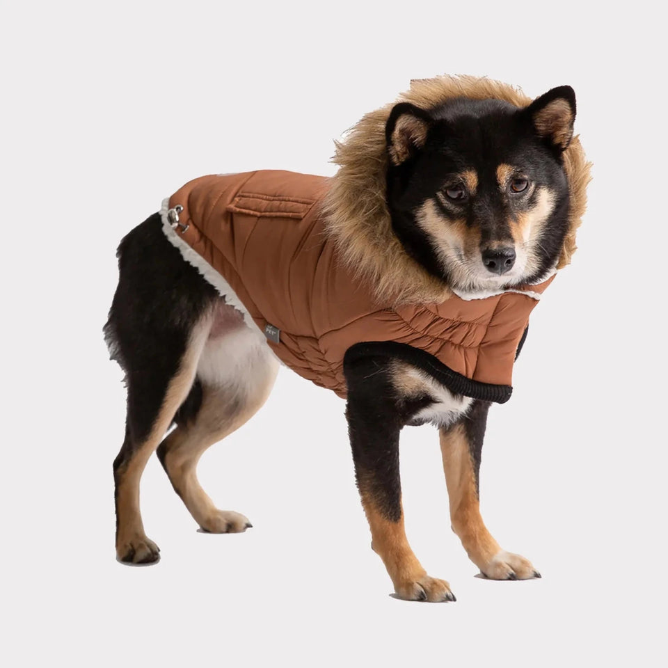 GF Pet ElastoFit Urban Dog Parka - Sherpa Lined Dog Coat, view 21