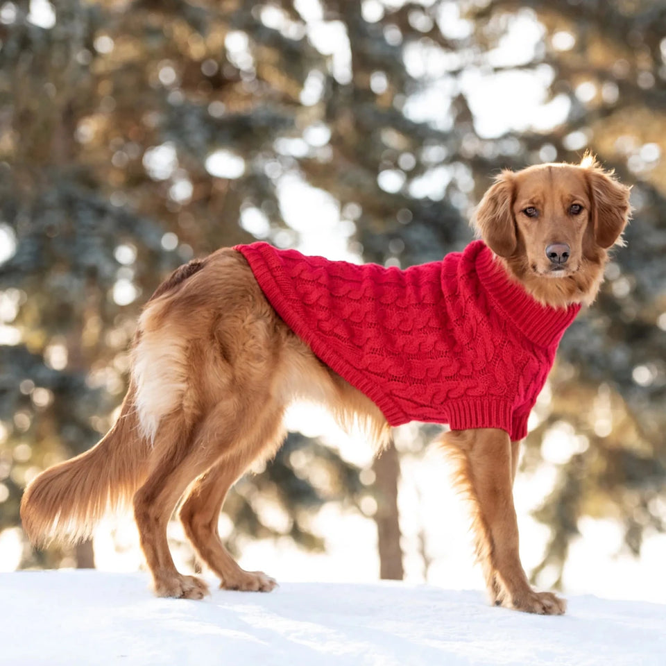 GF Pet Chalet Dog Sweater - Cable Knit Turtleneck, view 36