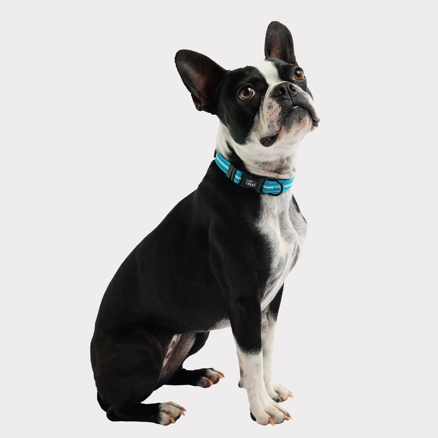 GF Pet Reflective Collar