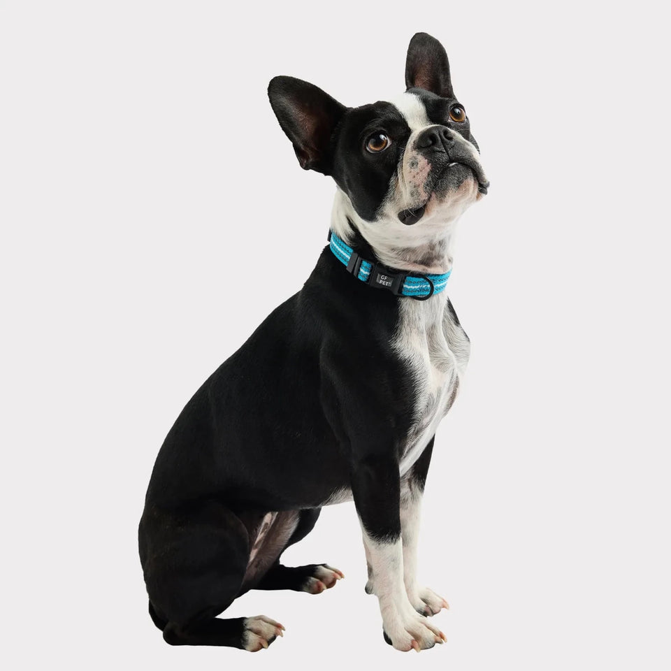 GF Pet Reflective Dog Collar, view 26