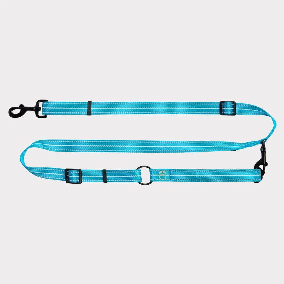 GF Pet Reflective Dog Leash, EEZY-6, view 13