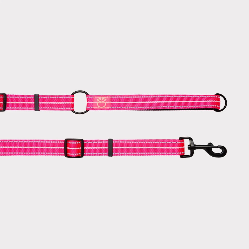 GF Pet Reflective Dog Leash, EEZY-6, view 14
