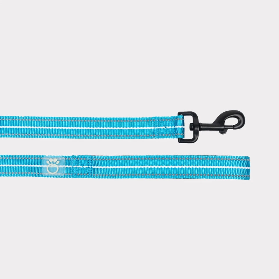 GF Pet Reflective Dog Leash, view 4