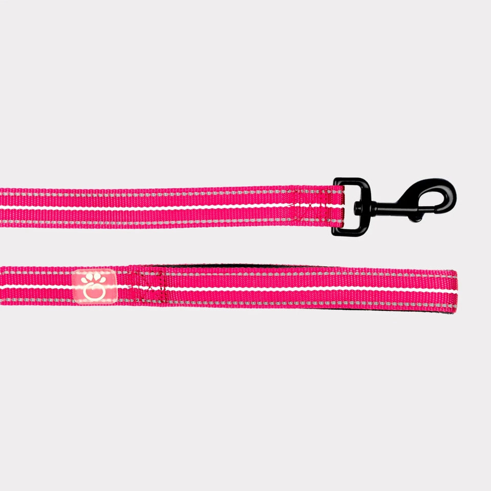 GF Pet Reflective Dog Leash, view 6