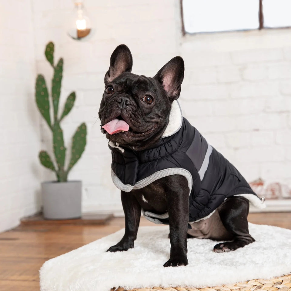 GF Pet Alpine Puffer - Retro Sherpa Lined Dog Coat, view 41