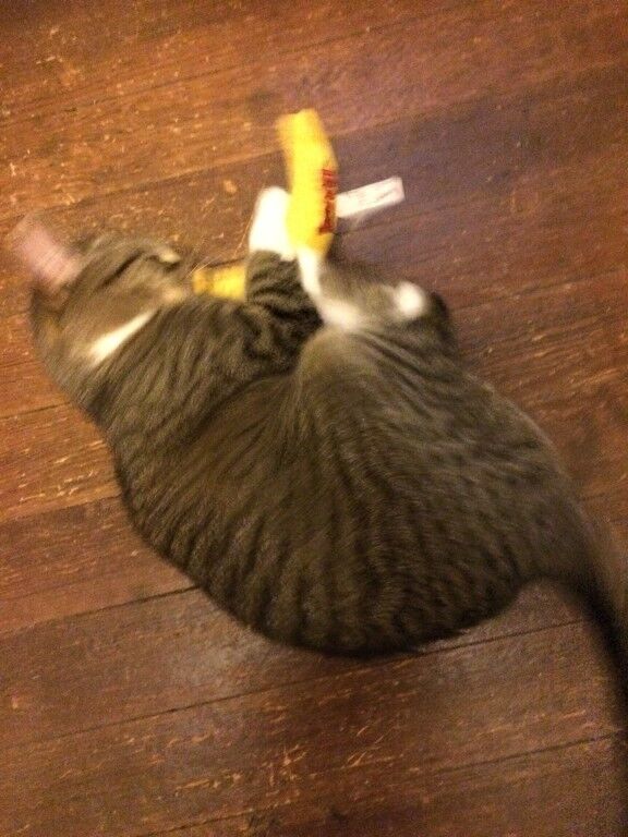 Yeowww Banana Catnip Cat Toy Yellow, 7 in - Pets Perfect