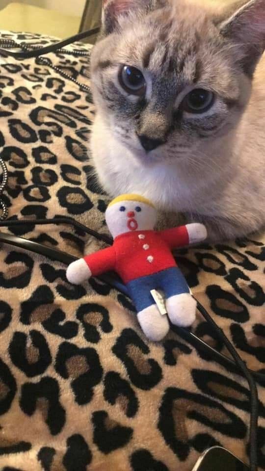 Multipet Mr. Bill Cat Toy 4 inch - Pets Perfect