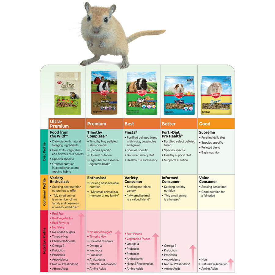 Kaytee Fiesta Mouse and Rat Food 2 lb
