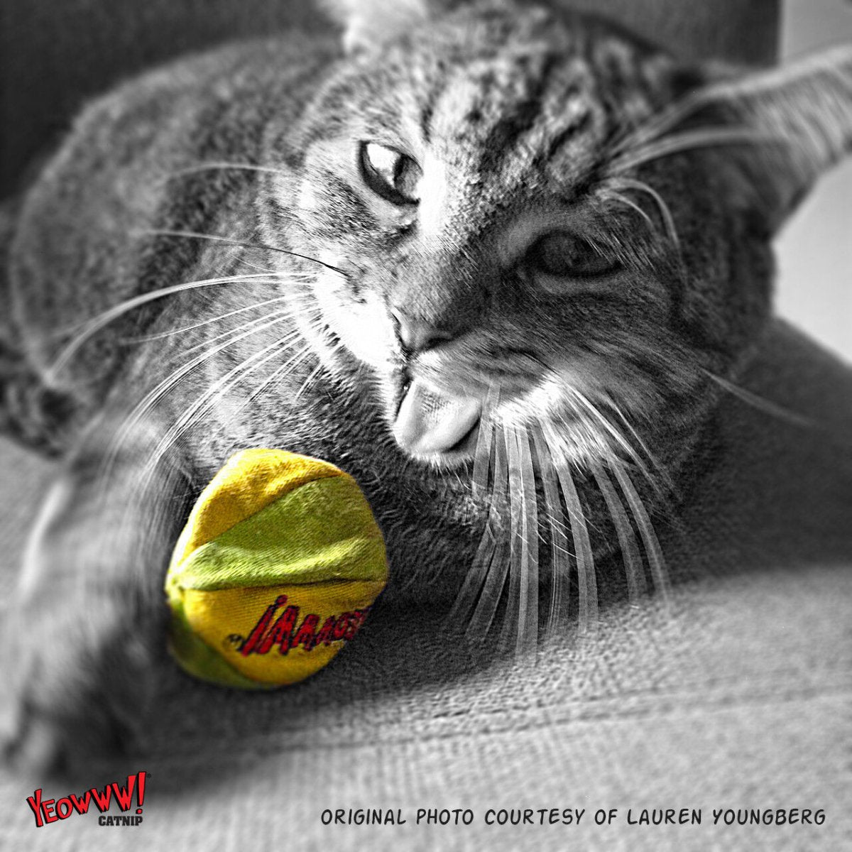 Yeowww LadyKrinkleBug Catnip Cat Toy - Pets Perfect