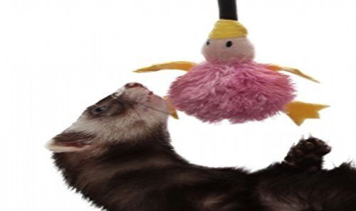 Marshall Pet Products Ferret Bungee Toy Platypus Pink One Size