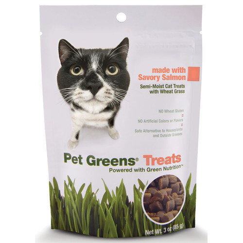 Pet Greens Cat Craves Semi-Moist Cat Soft Treat Salmon 3 oz