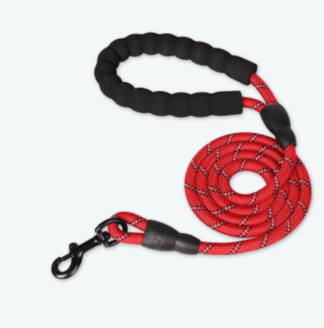 Reflective Nylon Dog Leash - Enhance Safety And Style On Walks - Pets Perfect