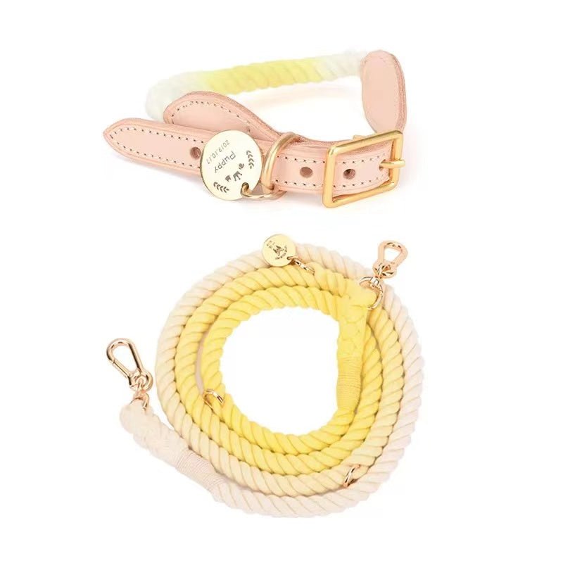 Hands-Free Rope Dog Leash and Luxe Royal Leather Dog Collar Bundle, Lemon Squeeze - Pets Perfect