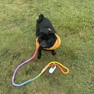 Dog Rope Dog Leash - Rainbow Vibes, view 5