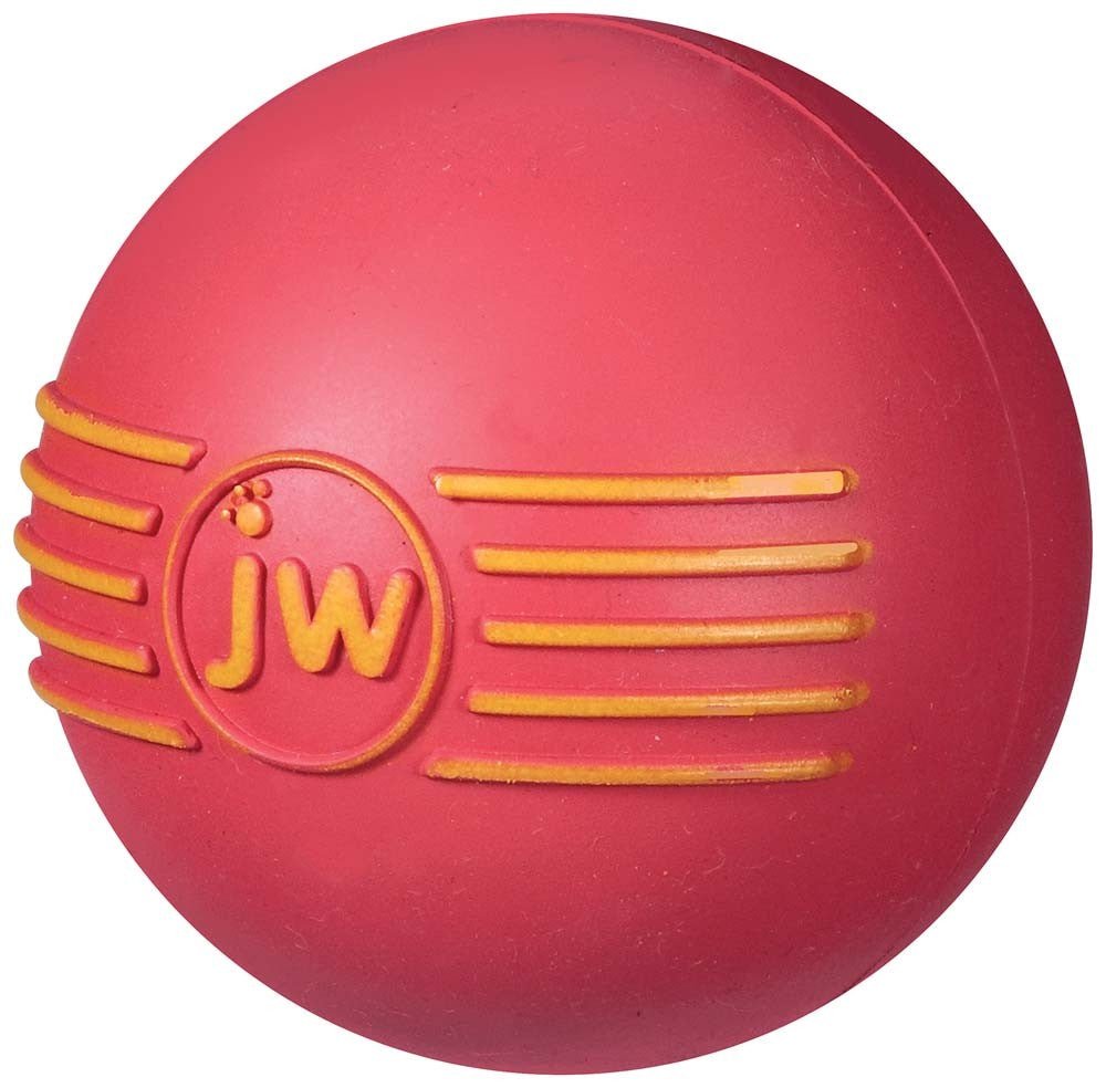 JW Pet iSqueak Ball Dog Toy Assorted 1ea/MD - Pets Perfect