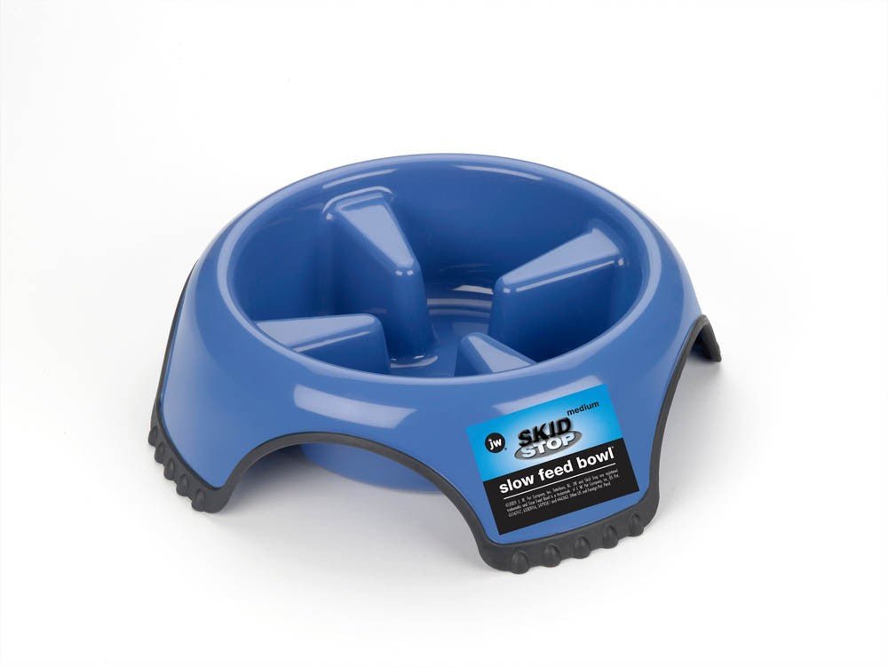 JW Pet Skid Stop Slow Feed Dog Bowl Assorted 1ea/MD - Pets Perfect