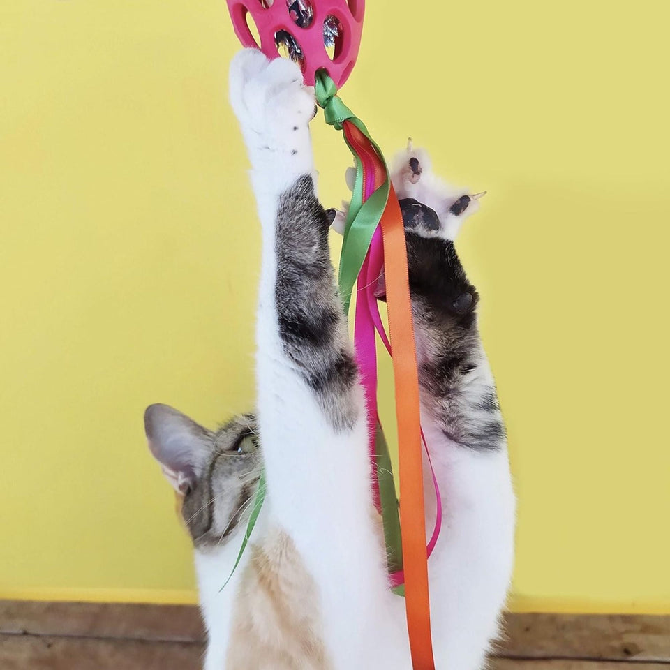 JW Pet Cataction Football with Streamers Cat Toy Red