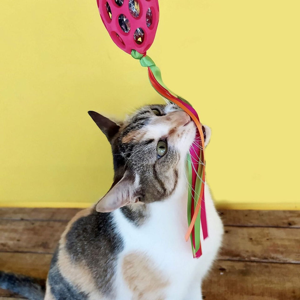 JW Pet Cataction Football with Streamers Cat Toy Red