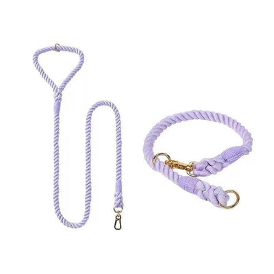 Dog Rope Dog Leash and Dog Collar Set - Violet, Small
