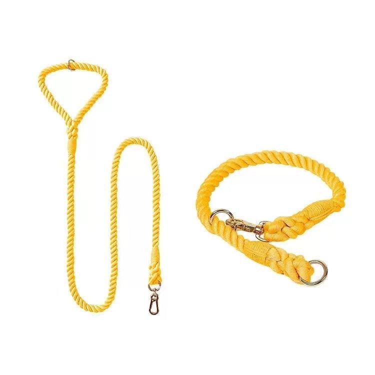Dog Rope Dog Leash and Dog Collar Set - Golden Garden, Small