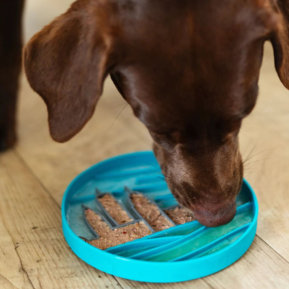 Messy Mutts Dog Silicone Interactive Lick Bowl City Pattern Blue