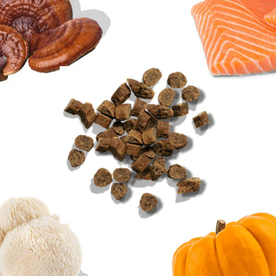 Healthy Bud Dog 6.5oz. Training Treats Salmon with Superfoods