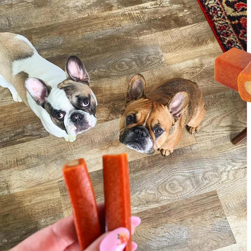 Ark Naturals Protection+ Toothpaste 5-in-1 -12 oz Small Dog Chews