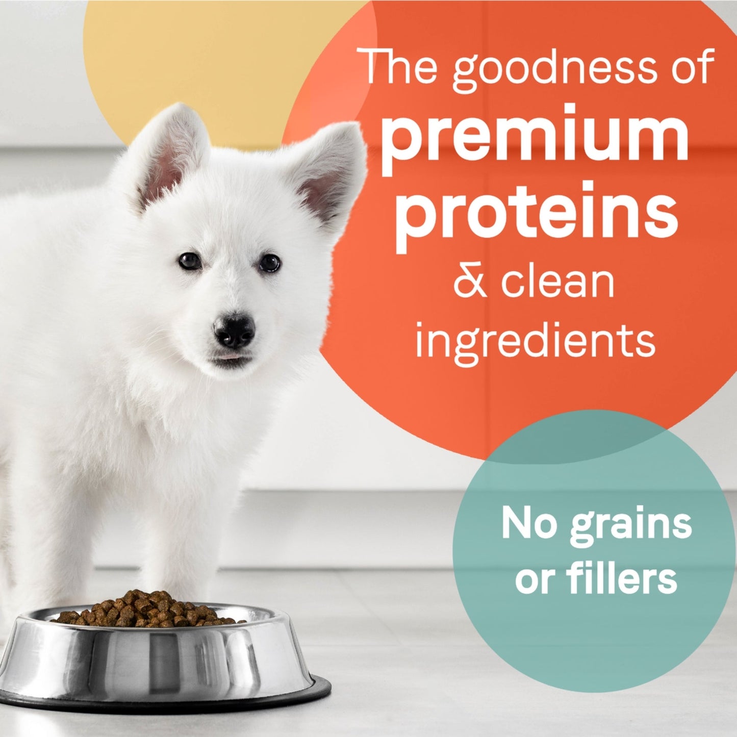 White puppy standing next to a full metal bowl of CANIDAE PURE Farm To Bowl GrainFree LID Dry Puppy Food Wild Caught Salmon Sweet Potato, 1ea/22 lb