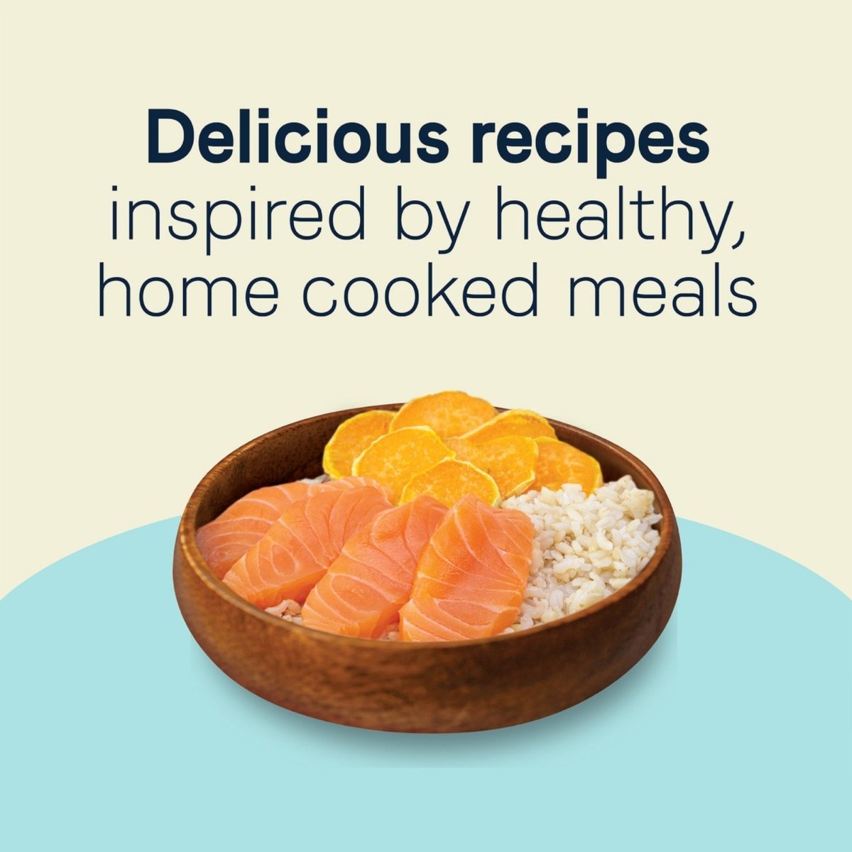 CANIDAE Balanced Bowl Canned Cat Food Salmon Sweet Potato, 24ea/3 oz - Pets Perfect