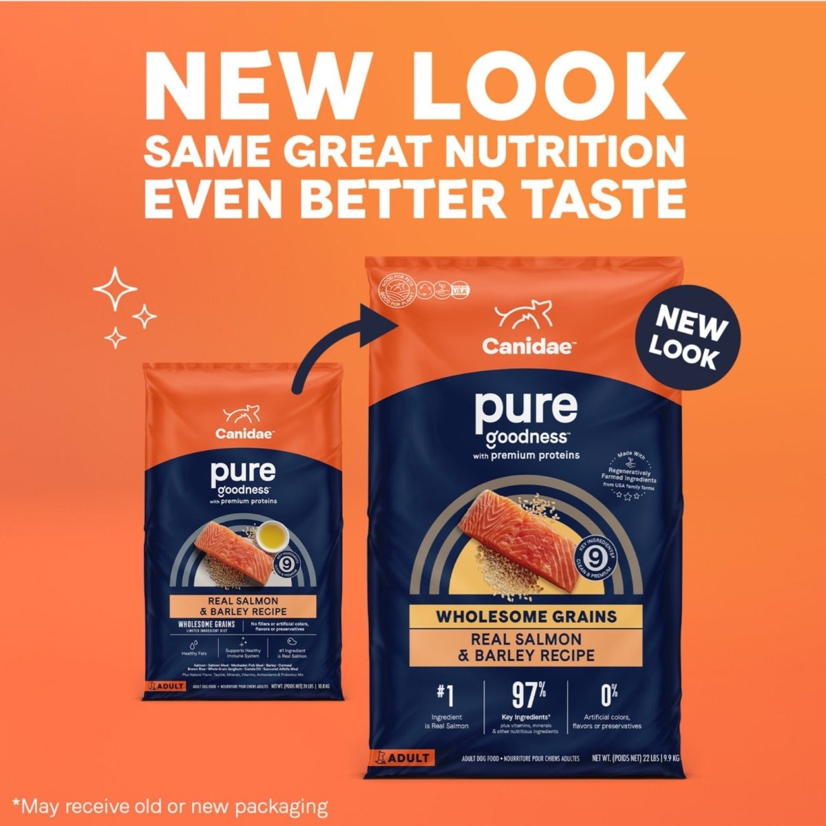 CANIDAE PURE Salmon & Barley Dry Dog Food w/ Wholesome Grains, 4 lb - Pets Perfect