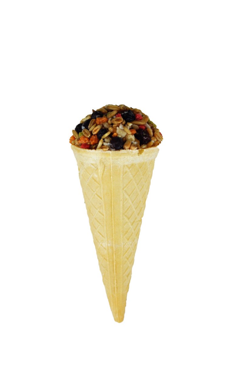 A&E Cages Small Animal Ice Cream Cone Treat Display 10 ct - Pets Perfect