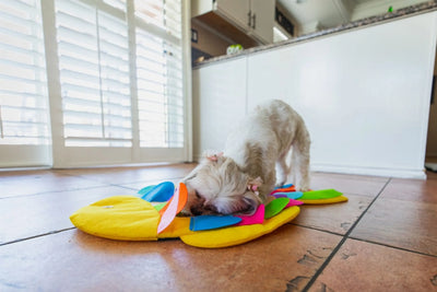 Snuffle Mat Puzzle Pad for Dogs - Interact. Feeding & Foraging, Fish/1