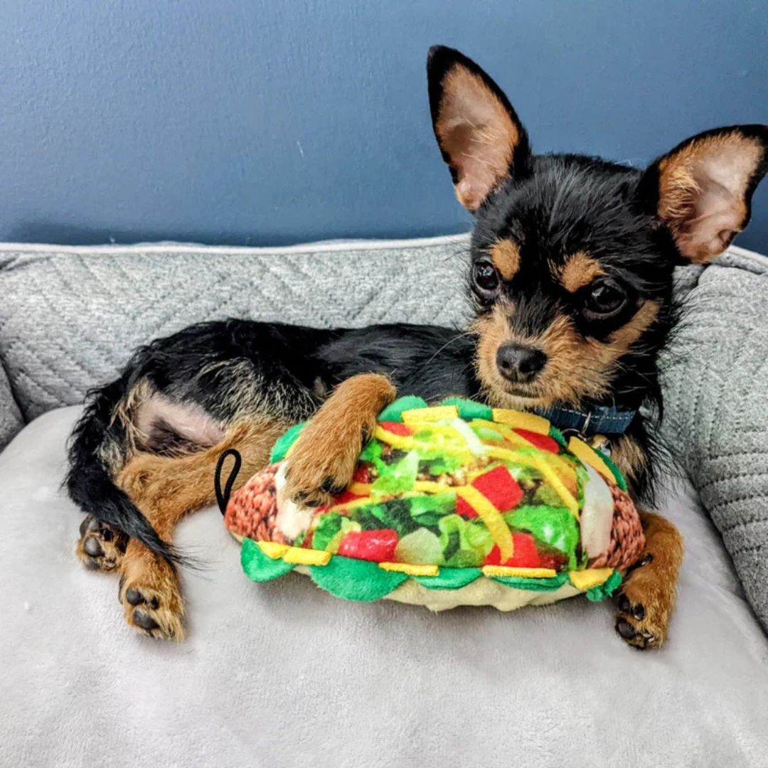 H&K Power Plush Dog Taco Tuesday Small Squeak Crinkle - Pets Perfect