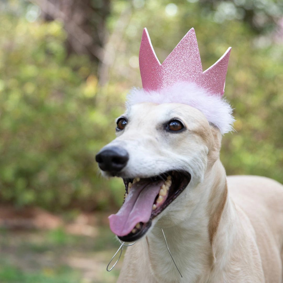 Huxley & Kent Party Crown for Dogs & Cats - Pink, Small, view 2